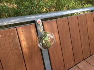 屋外での使用例