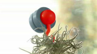 新商品「マグサンド」発売