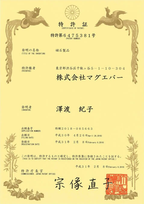 特許第6475381号（磁石製品）